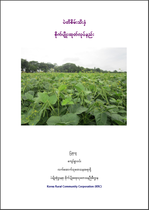 ပဲတီစိမ်းသီးနှံ စိုက်ပျိုးထုတ်လုပ်နည်း